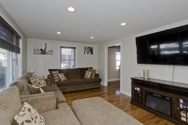 living room featuring wood-type flooring