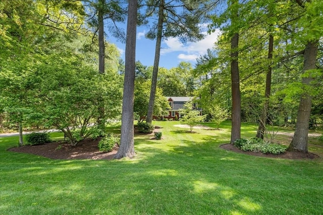 view of green lawn