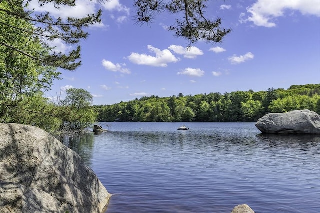 453 Washington St, Gloucester, MA 01930 - water view featuring a heavily wooded area