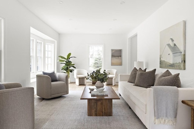 living room featuring a healthy amount of sunlight and light hardwood / wood-style flooring