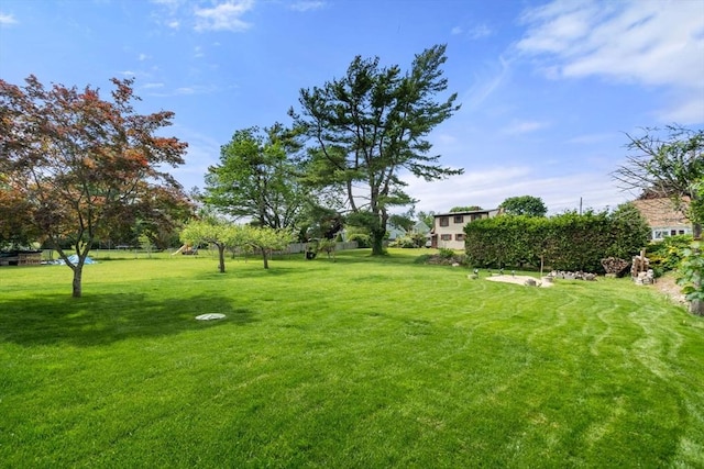 13 Darling St, Acushnet, MA 02743 - view of green lawn