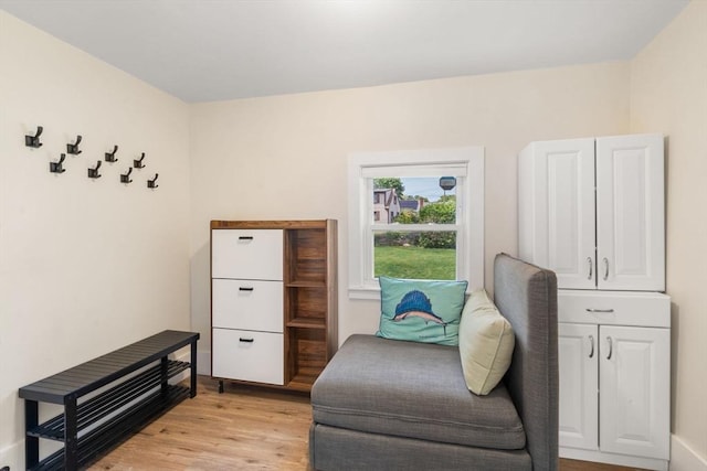 13 Darling St, Acushnet, MA 02743 - sitting room featuring light wood-style floors