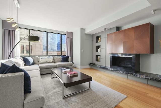 living room featuring a fireplace and light hardwood / wood-style flooring