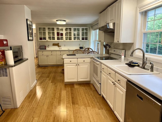 51 Karen Rd, Framingham, MA 01701 - kitchen featuring stainless steel appliances, under cabinet range hood, white cabinetry, and light wood-type flooring
