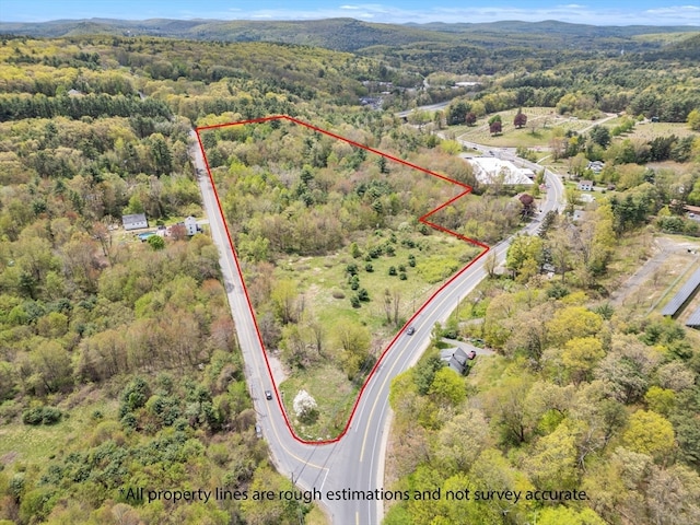 101 Ware St, Palmer MA, 01069 land for sale