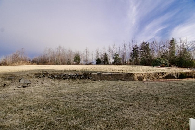 view of yard with a rural view