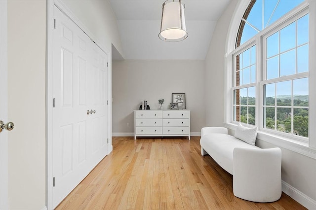 17 Arrowhead Ln, Westborough, MA 01581 - living area with light wood-type flooring and vaulted ceiling