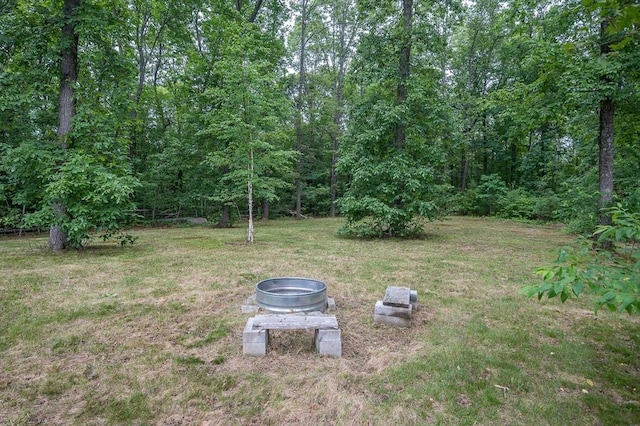 17 Arrowhead Ln, Westborough, MA 01581 - view of green lawn with a forest view