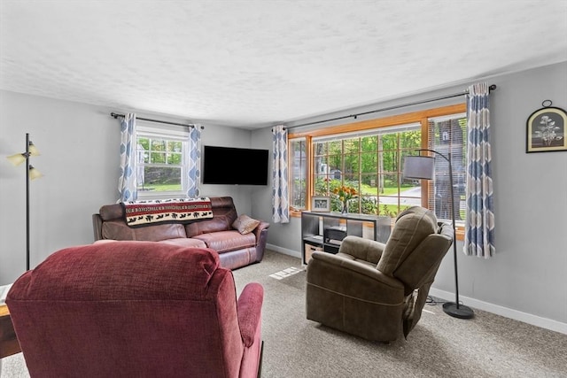 living area with baseboards, a textured ceiling, and carpet flooring