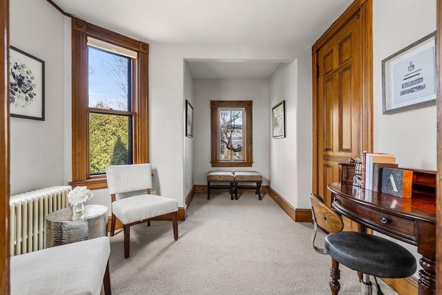 living area featuring baseboards, light carpet, and radiator heating unit