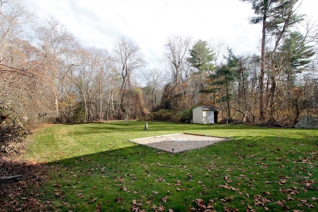 view of yard with a storage shed