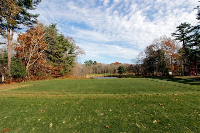 view of yard featuring a water view