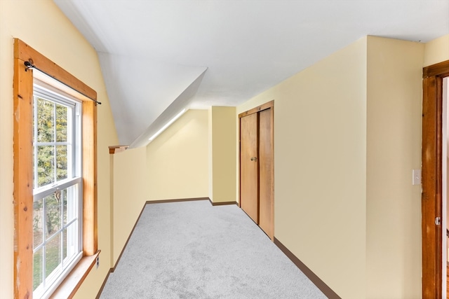 hall with lofted ceiling and carpet floors