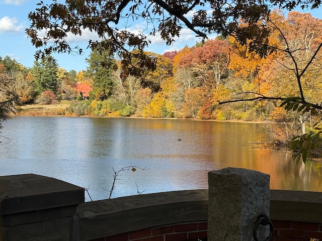 property view of water