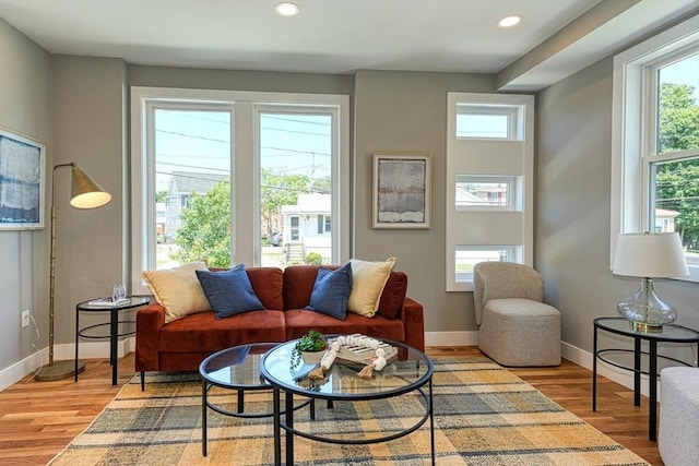 238 Sycamore St Unit 238, Watertown, MA 02472 - living room with light wood-style flooring, baseboards, and recessed lighting