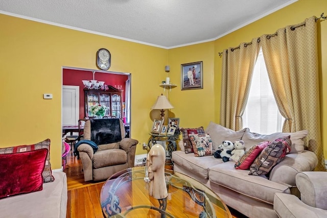 living room featuring wood finished floors, a textured ceiling, a healthy amount of sunlight, and ornamental molding