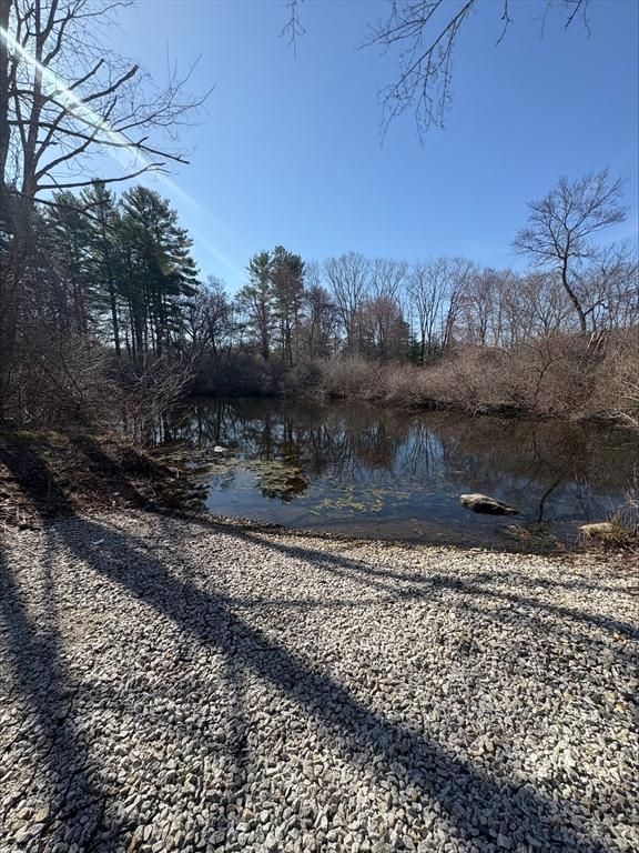 27 Willow Pond Cir Unit 27, Medway, MA 02053 - water view
