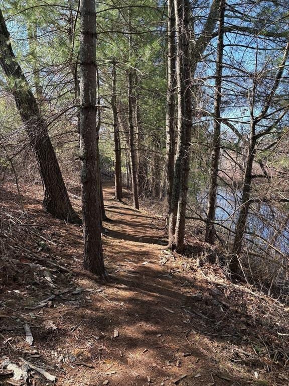 27 Willow Pond Cir Unit 27, Medway, MA 02053 - view of undeveloped land