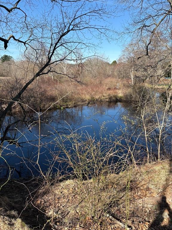 27 Willow Pond Cir Unit 27, Medway, MA 02053 - water view