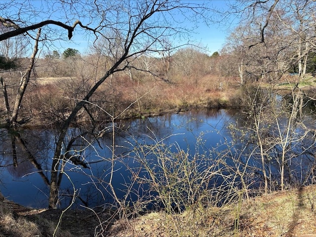 27 Willow Pond Cir Unit 27, Medway, MA 02053 - water view