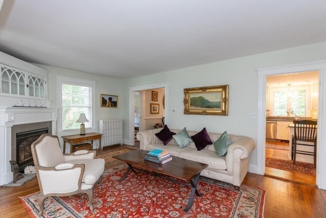 6 Willow St, Wellesley, MA 02481 - living area with radiator, wood finished floors, and a glass covered fireplace