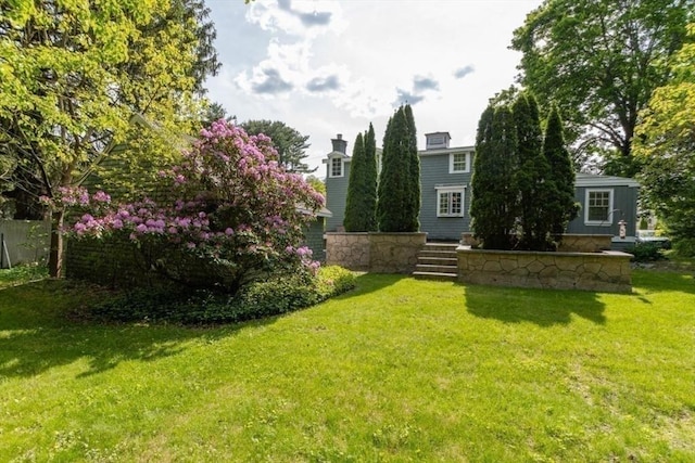 6 Willow St, Wellesley, MA 02481 - view of grassy yard