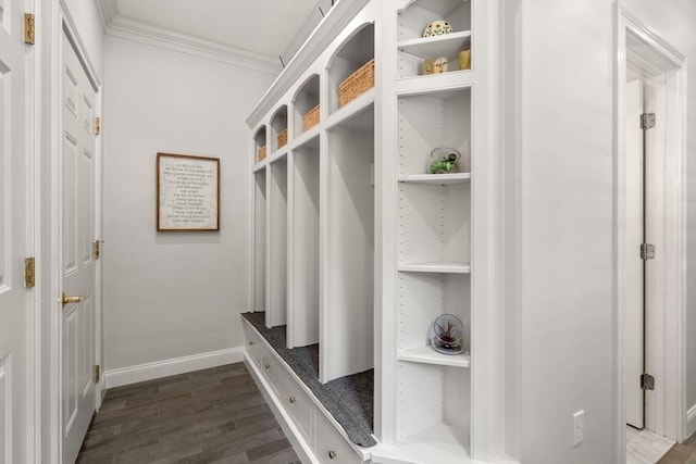 127 Shade St, Lexington, MA 02421 - mudroom with dark wood finished floors, crown molding, and baseboards