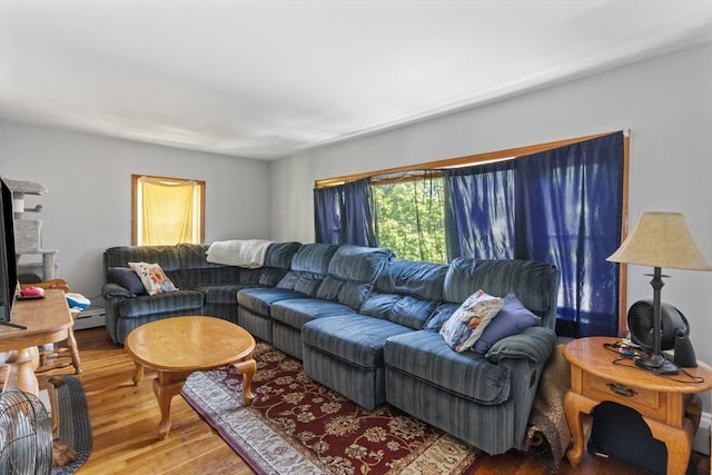 living room featuring wood finished floors and a baseboard radiator