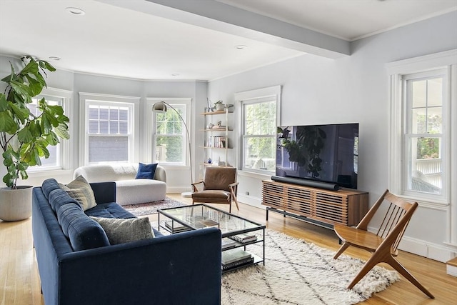 49 Prince St Unit 2, Boston, MA 02130 - living room with ornamental molding, wood finished floors, baseboards, and recessed lighting