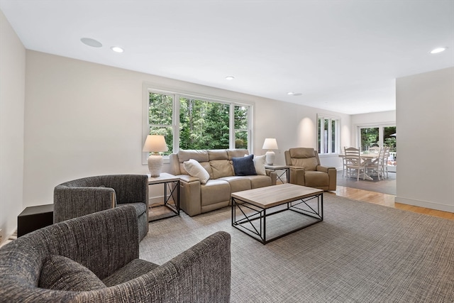 living room with light hardwood / wood-style flooring and a healthy amount of sunlight