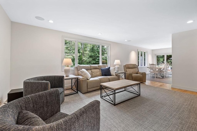 living room with light hardwood / wood-style flooring