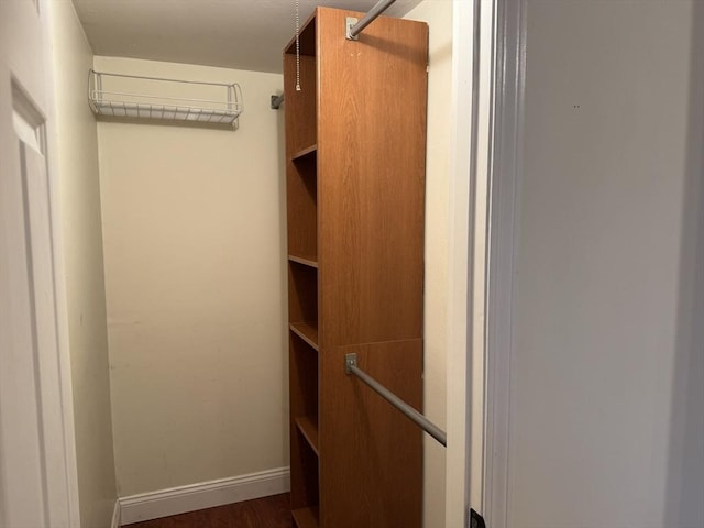 spacious closet featuring dark hardwood / wood-style floors