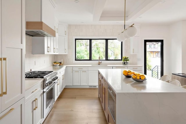 228 Auburn St Unit 228, Newton, MA 02466 - kitchen featuring stainless steel appliances, premium range hood, healthy amount of natural light, and light wood-style floors