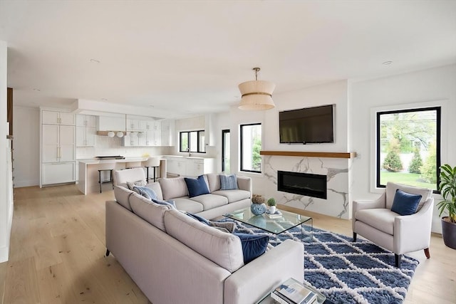 228 Auburn St Unit 228, Newton, MA 02466 - living room with a fireplace and light wood-style flooring
