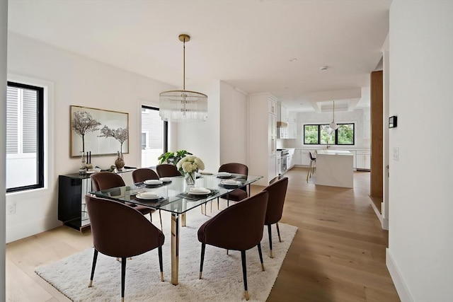228 Auburn St Unit 228, Newton, MA 02466 - dining room with light wood finished floors and a chandelier