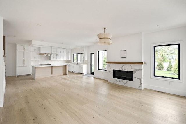 228 Auburn St Unit 228, Newton, MA 02466 - unfurnished living room with light wood-style floors and a fireplace