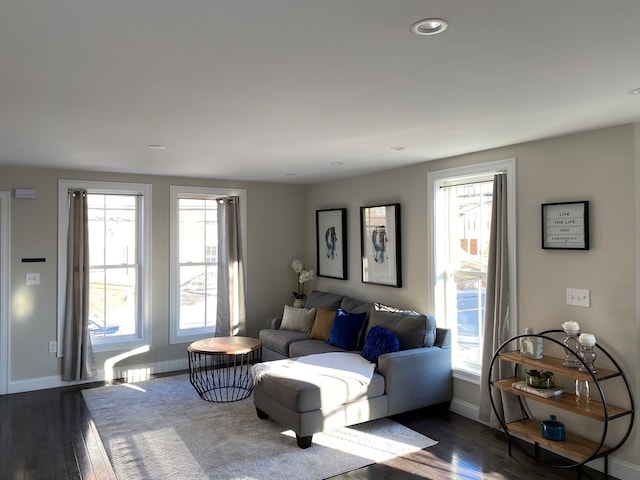 living room featuring a healthy amount of sunlight and dark hardwood / wood-style floors