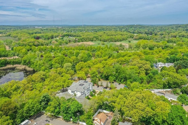 1100 Vfw Pkwy Unit 202, Boston, MA 02132 - bird's eye view of a forest