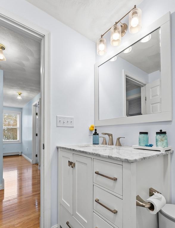 bathroom featuring vanity, baseboards, wood finished floors, and baseboard heating