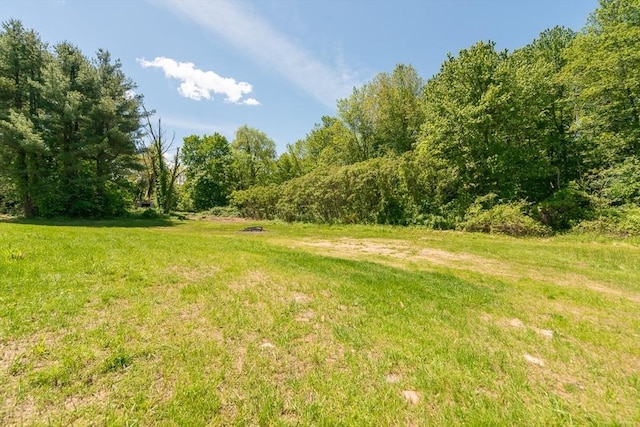 12 Willow St, Pepperell, MA 01463 - view of yard with a wooded view