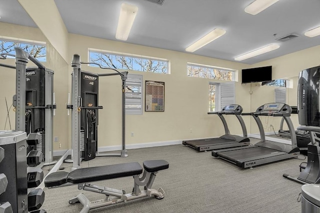 workout area featuring carpet floors and a healthy amount of sunlight