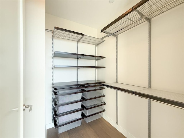 spacious closet with wood finished floors