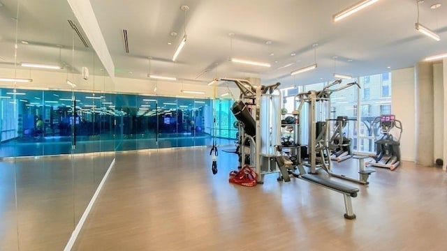 gym featuring wood finished floors
