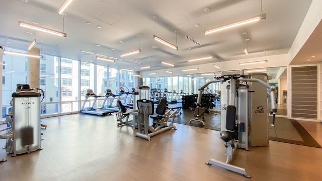 workout area featuring expansive windows and healthy amount of natural light
