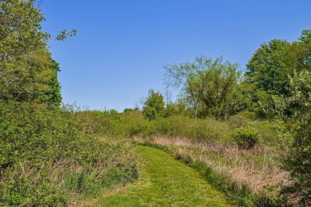 130 N Walker St, Taunton, MA 02780 - view of undeveloped land