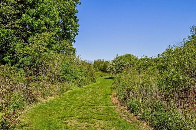 130 N Walker St, Taunton, MA 02780 - view of nature