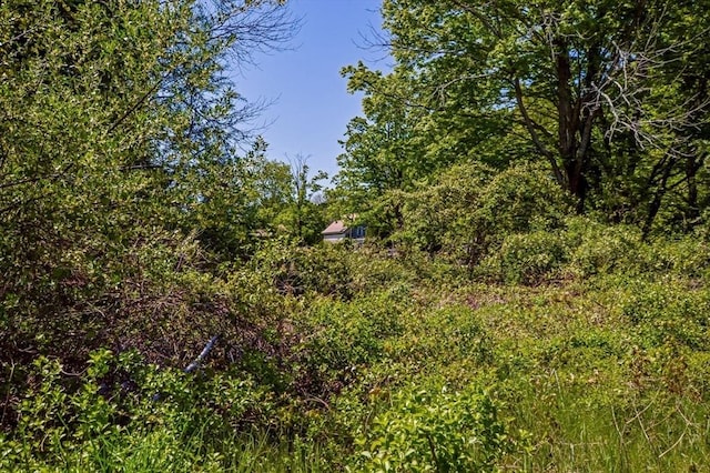 130 N Walker St, Taunton, MA 02780 - view of undeveloped land