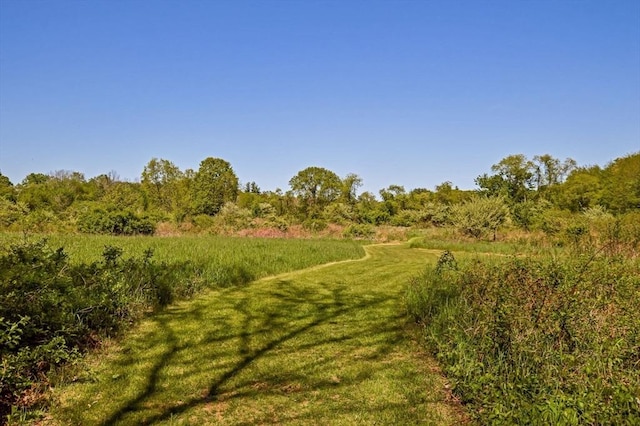 130 N Walker St, Taunton, MA 02780 - view of undeveloped land