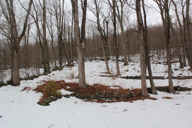 view of snowy yard