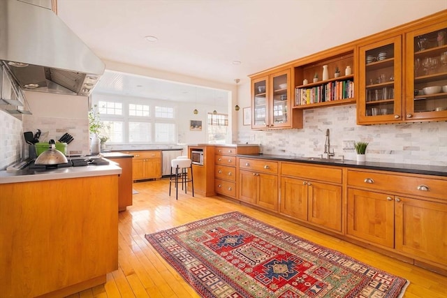 kitchen with sink, backsplash, stainless steel appliances, light hardwood / wood-style floors, and island exhaust hood